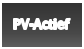 PV-Actief
